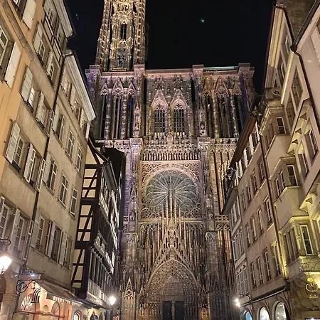 Le Cosy, A 2 Min De Colmar * Horbourg-Wihr